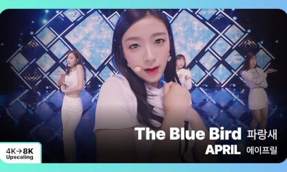[8K Upscaling S3D] VENTA X -’THE SHOW’ : APRIL - The Blue Bird
