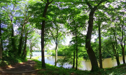 Tranquil Pond Galena Maryland 8K 180VR Remastered VR Video Tranquil Pond Galena Maryland 8K 180VR Remastered VR