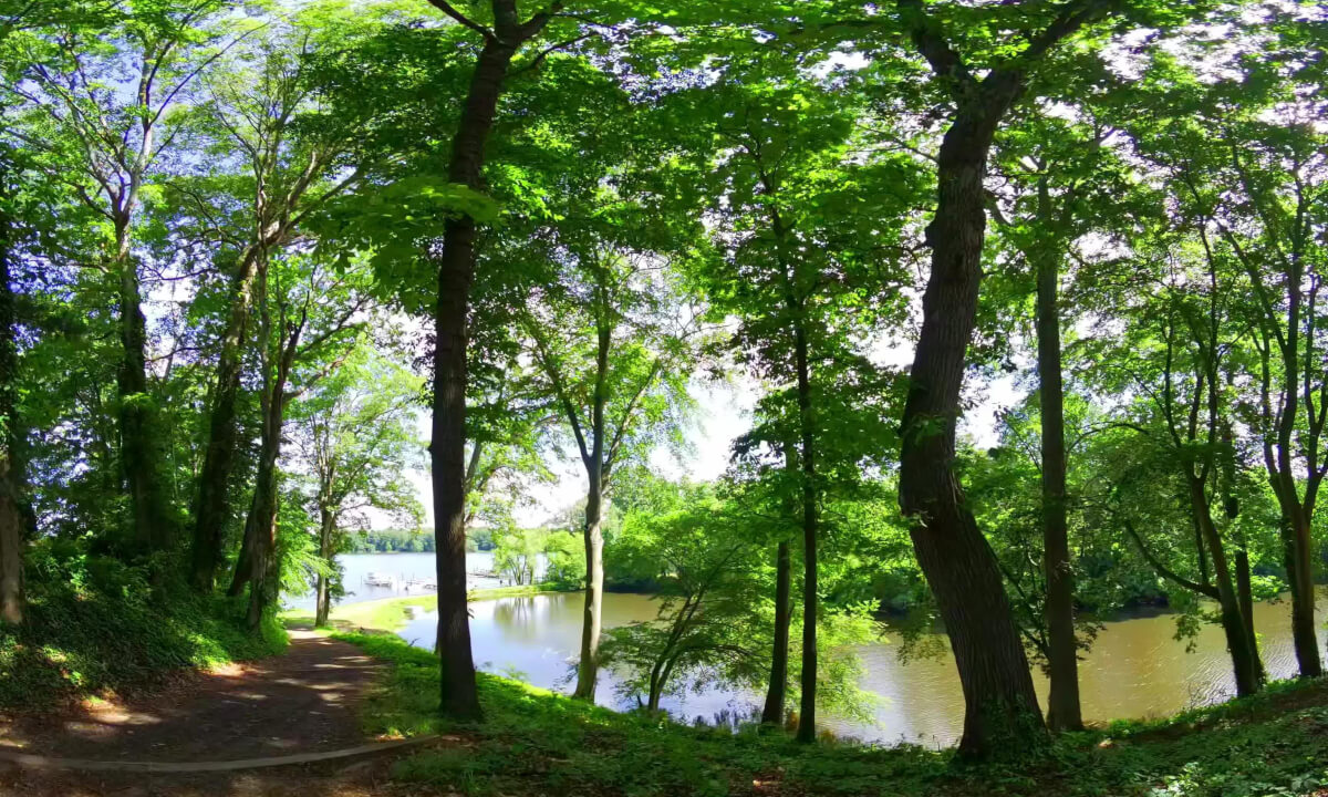 Tranquil Pond Galena Maryland 8K 180VR Remastered