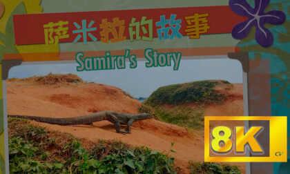 《萨米拉的故事》  The Story of Samira VR Video 《萨米拉的故事》  The Story of Samira VR