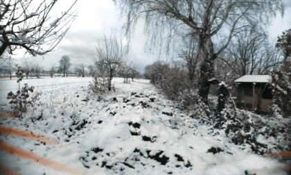 FPV flight through Januarys snow, VR180-3D, 4k VR Video FPV flight through Januarys snow, VR180-3D, 4k VR