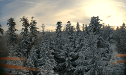 snowy trees in light of setting sun, fpv flight in VR180-3D snowy trees in light of setting sun, fpv flight in VR180-3D
