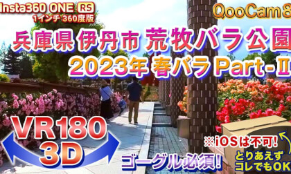 [VR180 3D] Aramaki Rose Park, Itami City, Hyogo Prefecture Part-2