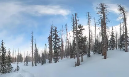 Wolf Creek Snowboarding #3..