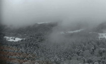 fpv flight through snow trees, VR180-3D fpv flight through snow trees, VR180-3D