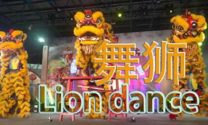 VR180 Chinese Dance Lion Performance VR Video VR180 Chinese Dance Lion Performance VR