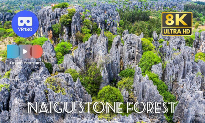 Travel China: Naigu Stone Forest 乃古石林 | Yunnan | 8K60P 3D 180 Travel China: Naigu Stone Forest 乃古石林 | Yunnan | 8K60P 3D 180