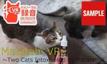 【SAMPLE】🐱 [Catnip VR | 8K & Binaural Audio] Two Cats Enjoy a Catnip High
