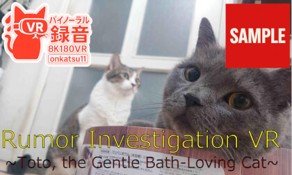 【SAMPLE】🐱 [Test VR | 8K & Binaural Audio] Can Adorable Kitten Meows Really Trigger Your Parental Instincts?!