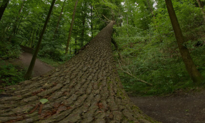 ISO 100 Slides from Gimbal VR Video ISO 100 Slides from Gimbal VR