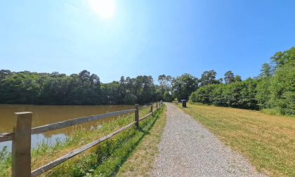 Insta360 X5 / Tilgate Forest (UK) by Mountain Bike. VR Video Insta360 X5 / Tilgate Forest (UK) by Mountain Bike. VR