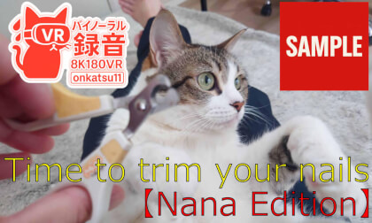 【SAMPLE】🐾 [8K Binaural Audio: Cat Nail Trimming] Nana’s Slightly Heart-Pounding Nail-Trimming Time