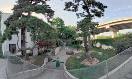 Swan Lake Park VR Video Swan Lake Park VR