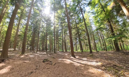 Insta360 X5 / Worth Forest (UK) by Mountain Bike. VR Video Insta360 X5 / Worth Forest (UK) by Mountain Bike. VR