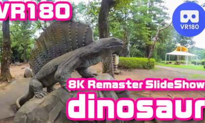 [VR180] dinosaur -8K Remaster-