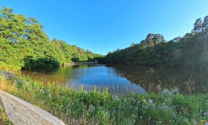 Insta360 X5 / Titmus Lake, Tilgate Forest (UK) VR Video Insta360 X5 / Titmus Lake, Tilgate Forest (UK) VR