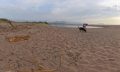 Sunrise at La Gola del Ter: Dogs in Natural Paradise   Amanecer en La Gola del Ter: Perros en el ParaĂso Natural VR Video Sunrise at La Gola del Ter: Dogs in Natural Paradise   Amanecer en La Gola del Ter: Perros en el ParaĂso Natural VR