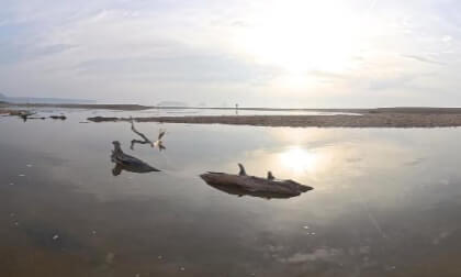 Instante Eterno en La Gola del Ter: Amanecer, Mar y Silencio    Timeless Moment at La Gola del Ter: Dawn, Sea & Serenity VR Video Instante Eterno en La Gola del Ter: Amanecer, Mar y Silencio    Timeless Moment at La Gola del Ter: Dawn, Sea & Serenity VR