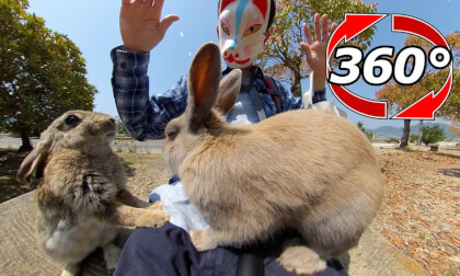 [360 Video] The rabbit that puts his hand on his lap and eats food is too cute.
