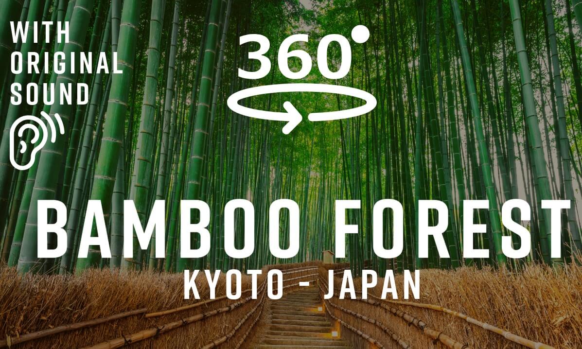 Bamboo Forest – Kyoto, Japan 🇯🇵 | Walking Tour 360°