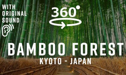 Bamboo Forest – Kyoto, Japan 🇯🇵 | Walking Tour 360° VR Video Bamboo Forest – Kyoto, Japan 🇯🇵 | Walking Tour 360° VR