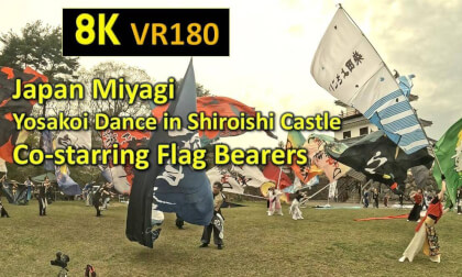 Japan Miyagi  Yosakoi Dance in Shiroishi Castle Co-starring Flag Bearers Japan Miyagi  Yosakoi Dance in Shiroishi Castle Co-starring Flag Bearers