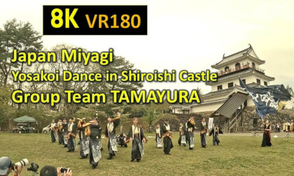 Japan Miyagi  Yosakoi Dance in Shiroishi Castle Group Team TAMAYURA Japan Miyagi  Yosakoi Dance in Shiroishi Castle Group Team TAMAYURA