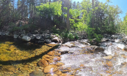 Swimming Hole (8K, 360) Swimming Hole (8K, 360)
