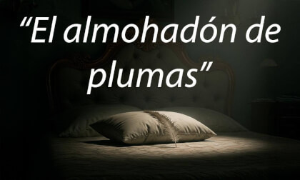 El almohadón de plumas El almohadón de plumas