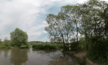 Duck dogs VR Video Duck dogs VR