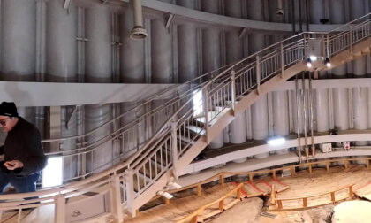 Joumon period trees VR Video Joumon period trees VR