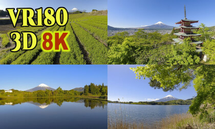 Mt. Fuji in the season of fresh green