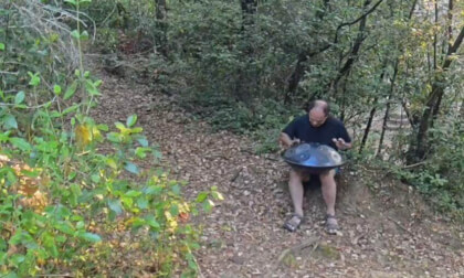 "Handpan en el Bosque: Música con Pájaros y Sonidos Naturales"  (EN): "Handpan in the Forest: Music with Birds and Nature Sounds" VR Video "Handpan en el Bosque: Música con Pájaros y Sonidos Naturales"  (EN): "Handpan in the Forest: Music with Birds and Nature Sounds" VR