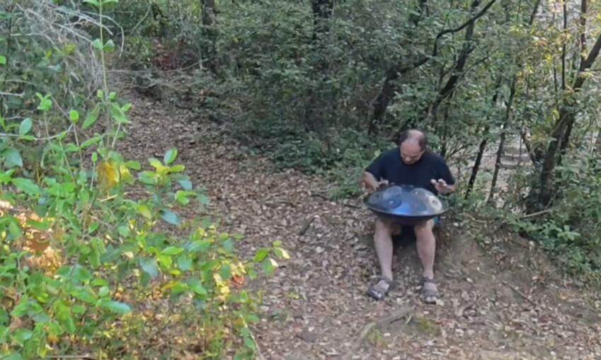 "Handpan en el Bosque: Música con Pájaros y Sonidos Naturales" (EN): "Handpan in the Forest: Music with Birds and Nature Sounds"
