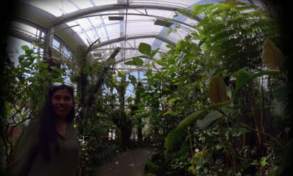 Botanischer Garten | Universität Basel