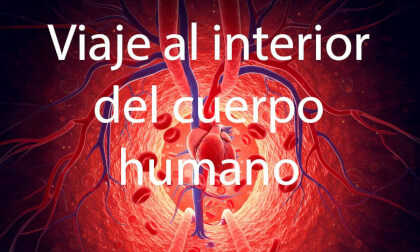 Viaje al interior del cuerpo humano VR Video Viaje al interior del cuerpo humano VR