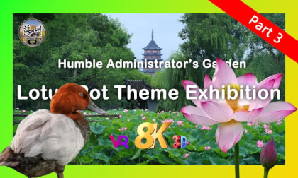SuzhouGardenVR:Elon Musk's Mother at Humble Administrator's Garden - A Celebrity VR Encounter | 伊隆·马斯克之母漫步拙政园 - 名人与世界遗产的VR邂逅 (Part 3) SuzhouGardenVR:Elon Musk's Mother at Humble Administrator's Garden - A Celebrity VR Encounter | 伊隆·马斯克之母漫步拙政园 - 名人与世界遗产的VR邂逅 (Part 3)