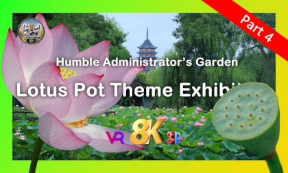 SuzhouGardenVR:Elon Musk's Mother at Humble Administrator's Garden - A Celebrity VR Encounter | 伊隆·马斯克之母漫步拙政园 - 名人与世界遗产的VR邂逅 (Part 4) VR Video SuzhouGardenVR:Elon Musk's Mother at Humble Administrator's Garden - A Celebrity VR Encounter | 伊隆·马斯克之母漫步拙政园 - 名人与世界遗产的VR邂逅 (Part 4) VR