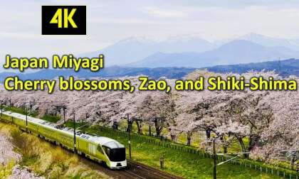 Japan Miyagi Cherry blossoms, Zao, and Shiki-Shima Japan Miyagi Cherry blossoms, Zao, and Shiki-Shima