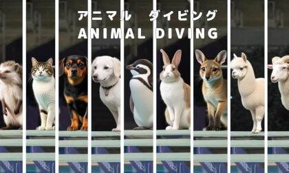 A Grand Pool Adventure! Animal Diving Challenge VR Video A Grand Pool Adventure! Animal Diving Challenge VR