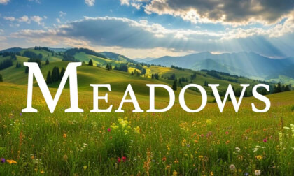 Meadows 4K – Relaxing Scenery & Hidden Gems with Calming Music VR Video Meadows 4K – Relaxing Scenery & Hidden Gems with Calming Music VR