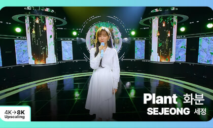 [8K Upscaling S3D] VENTA X -’THE SHOW’ : SEJEONG - Plant