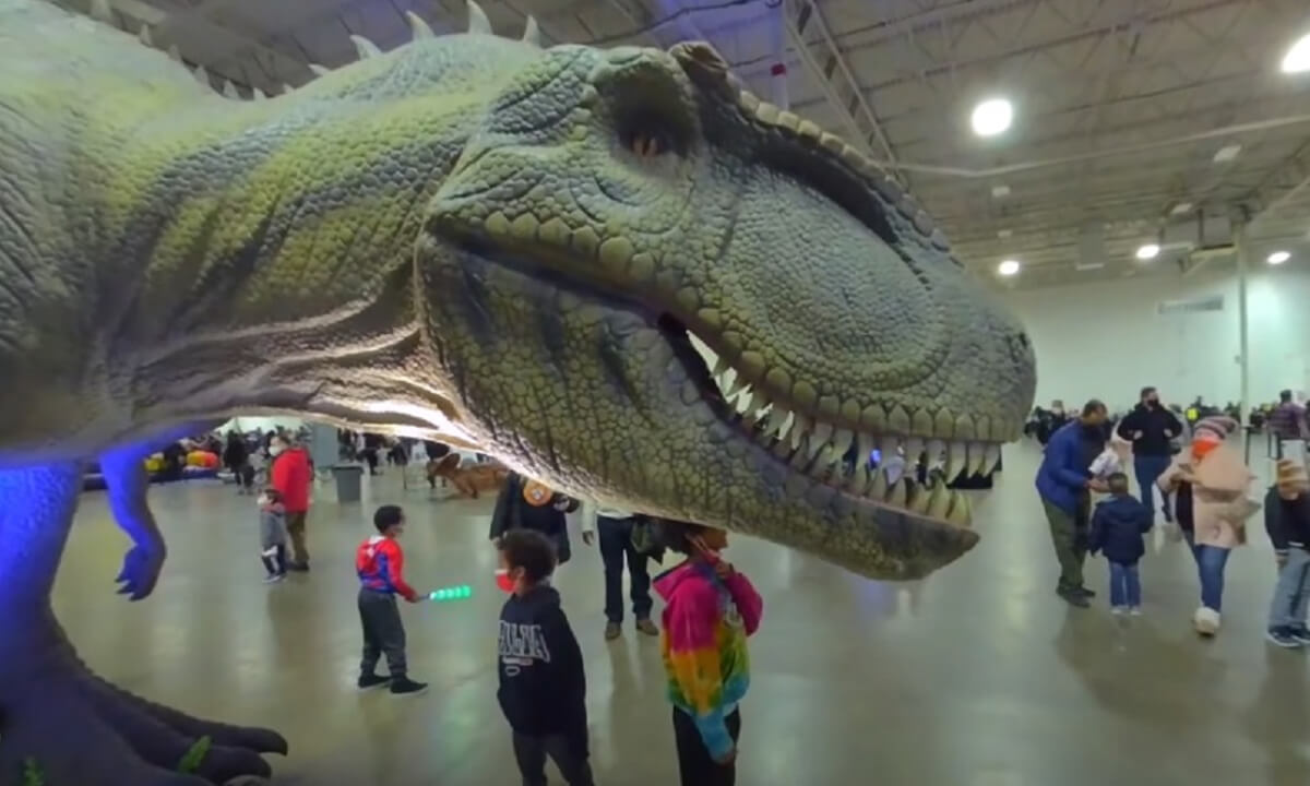 The Dinosaurs of Dino and Dragon Stroll 3D 180 VR