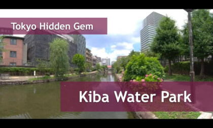 Tokyo Hidden Gem! A Stroll Through Kiba Water Park, Tokyo 🚶♀️ (癒やしの空間!東京の木場親水公園をのんびり散歩) VR Video Tokyo Hidden Gem! A Stroll Through Kiba Water Park, Tokyo 🚶♀️ (癒やしの空間!東京の木場親水公園をのんびり散歩) VR