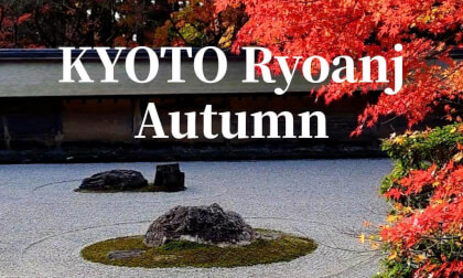 Kyoto: Ryoanji Temple Autumn Leaves Rock Garden ,JAPAN