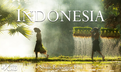 Indonesia in 4K VR – Breathtaking Nature and Rich Culture | Volcanoes, Islands & Ancient Temples VR Video Indonesia in 4K VR – Breathtaking Nature and Rich Culture | Volcanoes, Islands & Ancient Temples VR