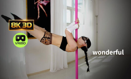 Steel pole dancing beauty Steel pole dancing beauty