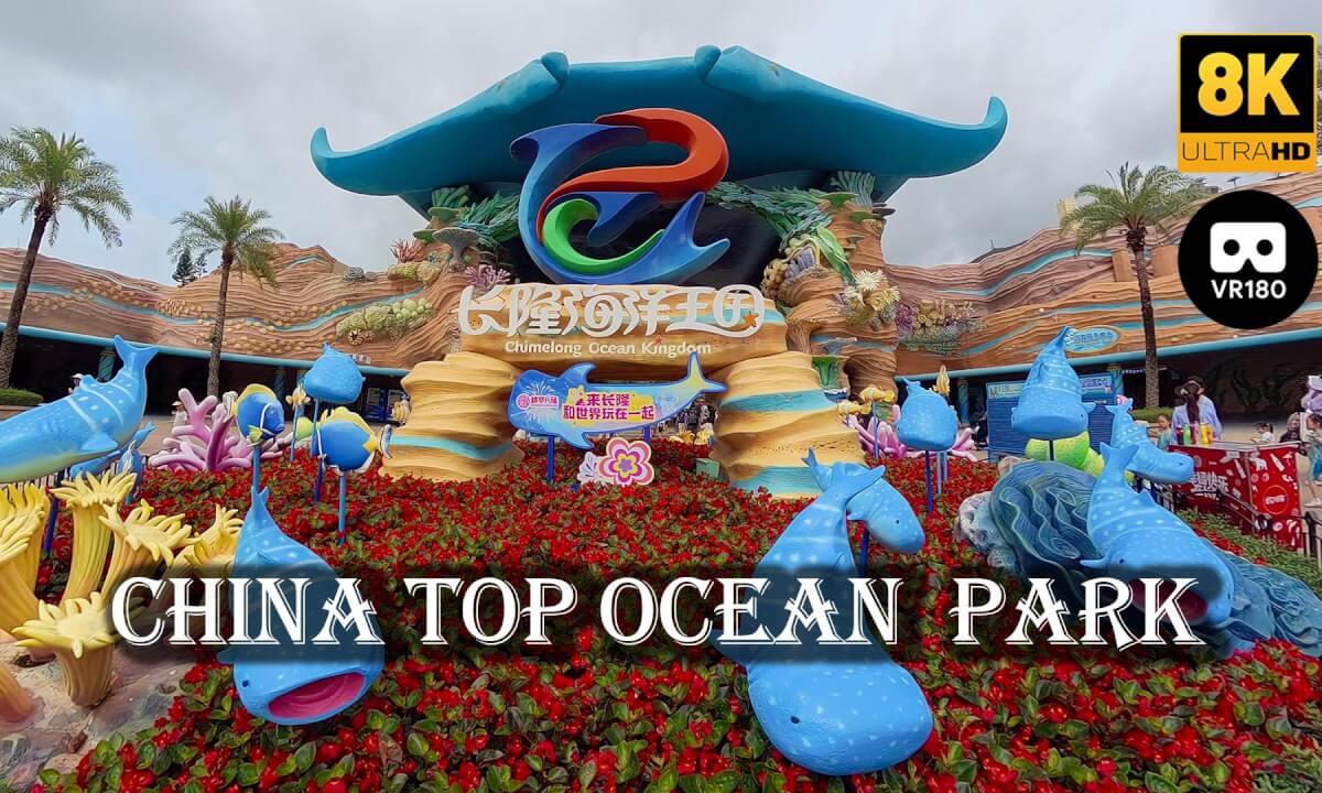 Chimelong Ocean Kingdom Tour Vlog 长隆海洋王国