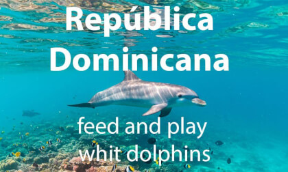 Republica Dominicana- Republica Dominicana-
