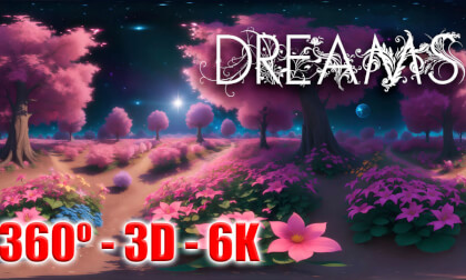 DREAMS DREAMS